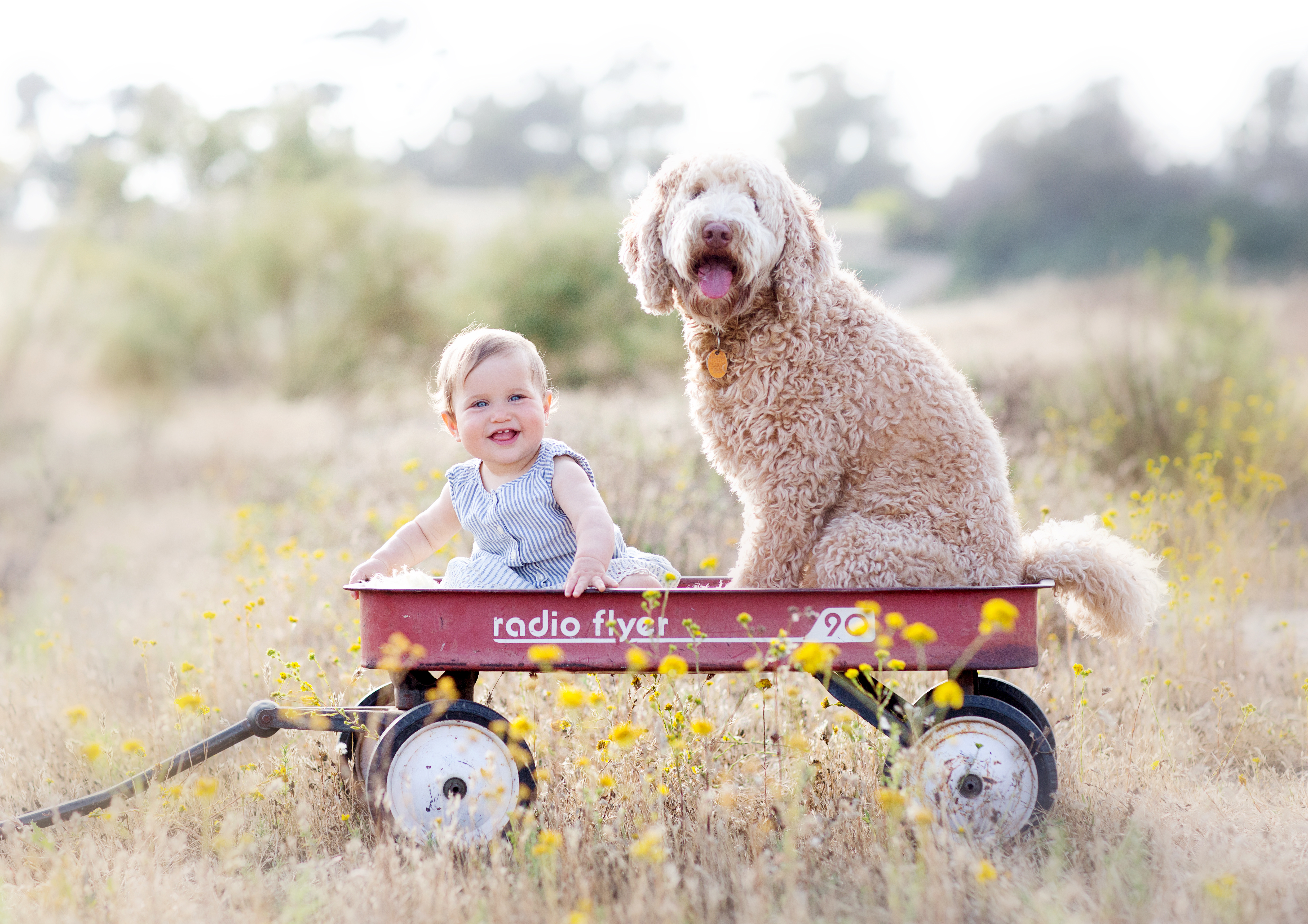 one year baby portraits