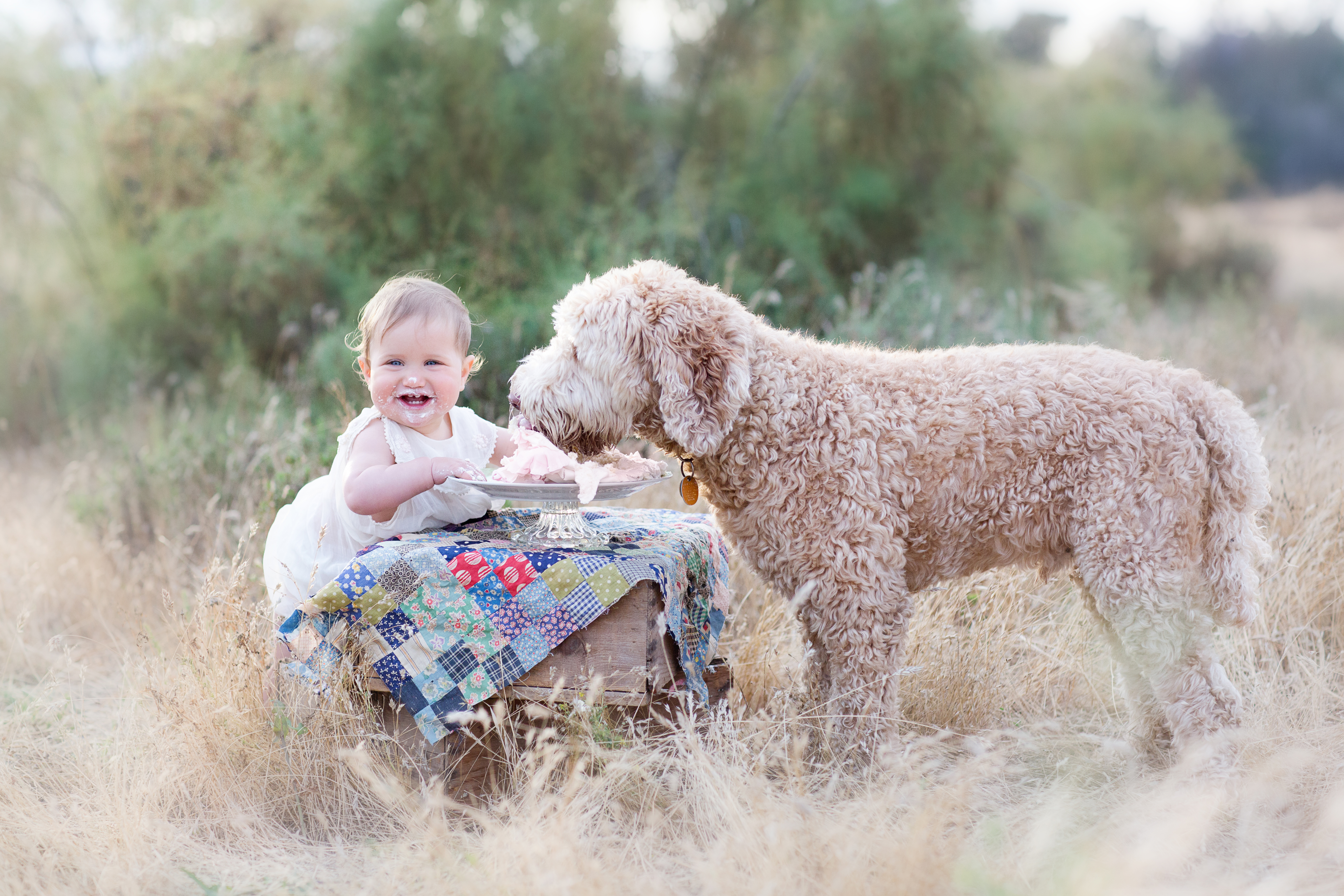 san diego baby photographer