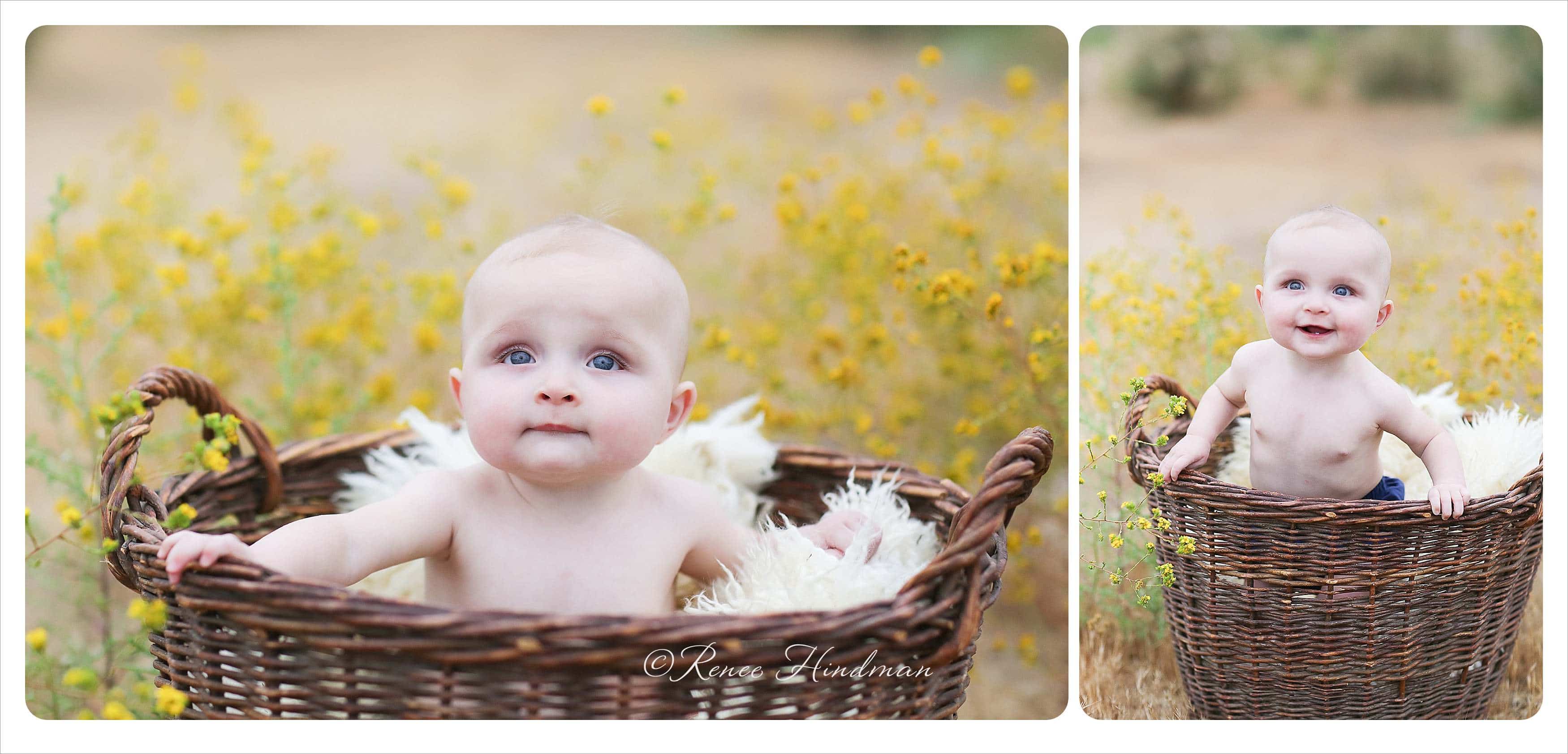 San diego baby portraits