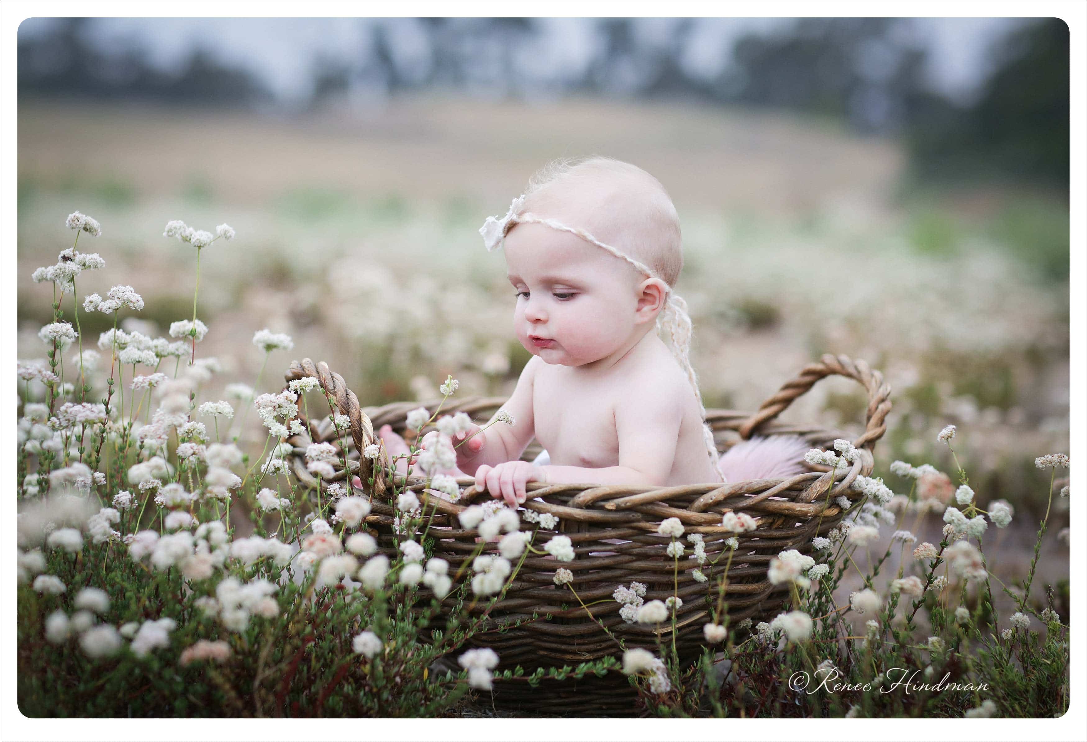 San diego baby portraits